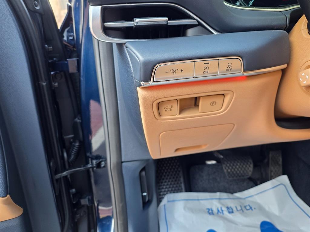 Genesis GV80 - Vista 10