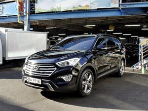 HYUNDAI Maxcruz - Vista 4