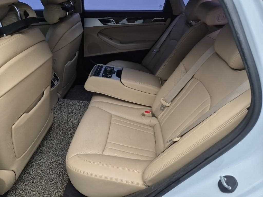 Genesis G80 - Vista 12