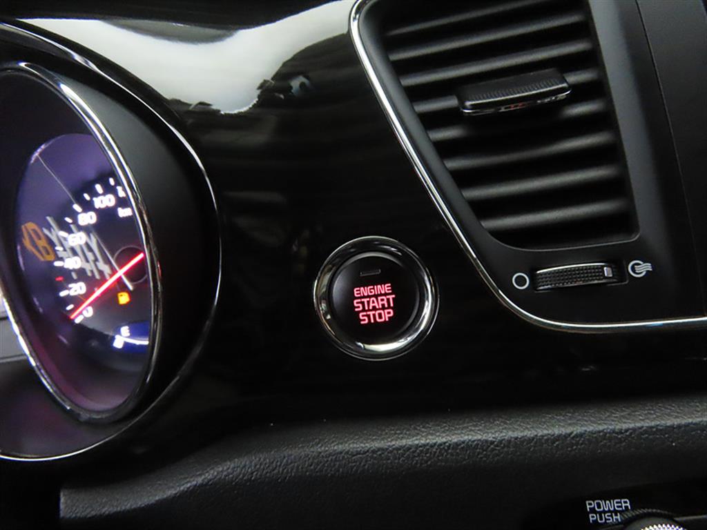 KIA Carnival - Vista 12