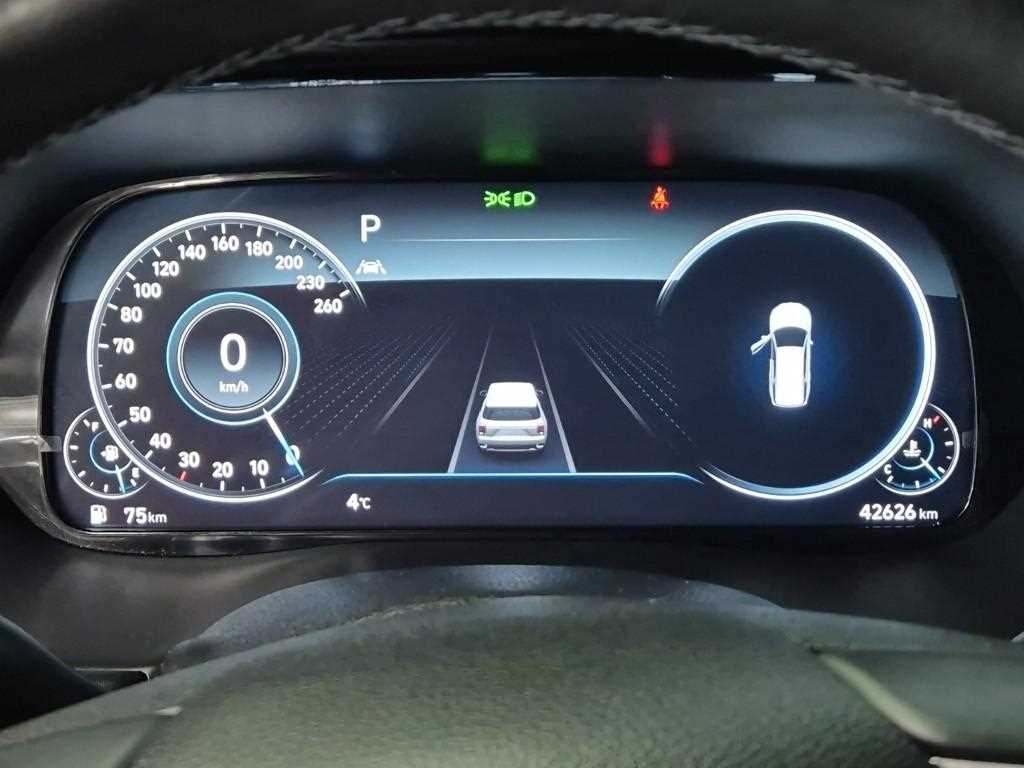 HYUNDAI Palisade - Vista 6