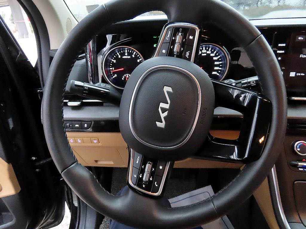 KIA Carnival - Vista 9