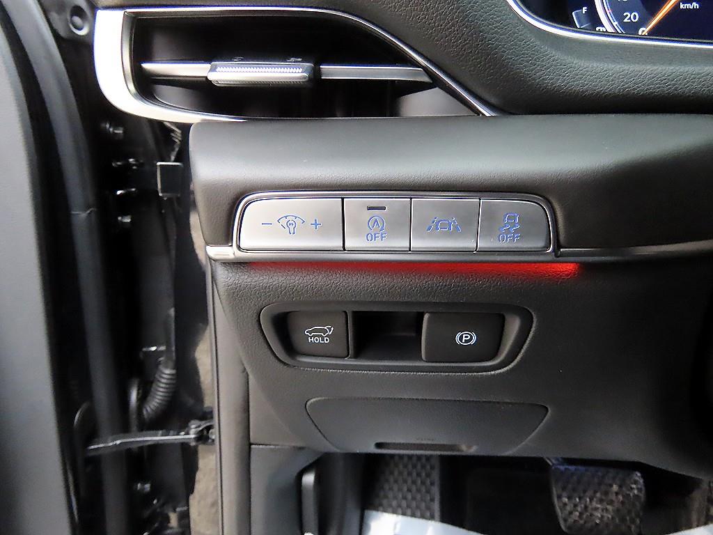 Genesis GV80 - Vista 12