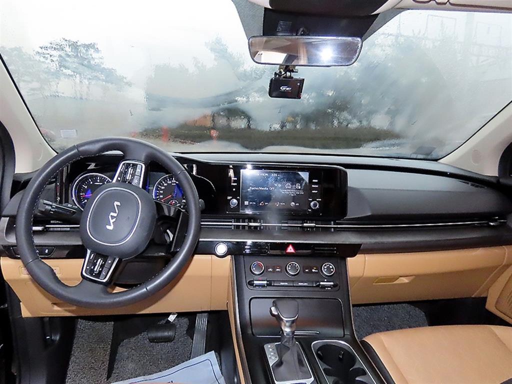 KIA Carnival - Vista 8