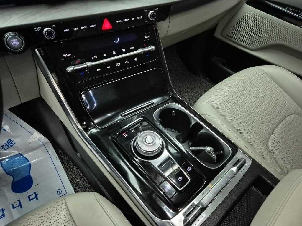 KIA Carnival - Vista 8