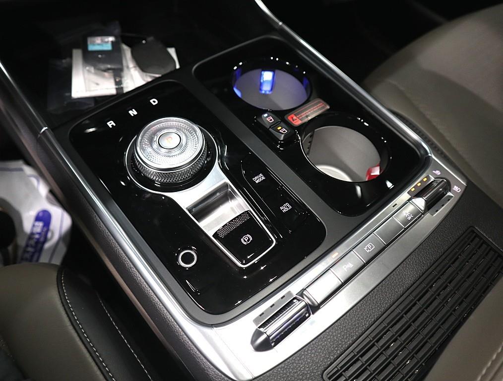 KIA Carnival - Vista 12