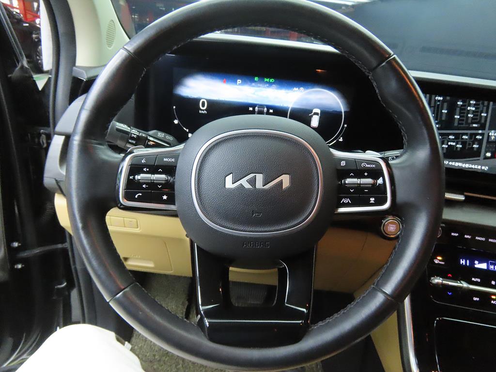 KIA Carnival - Vista 8