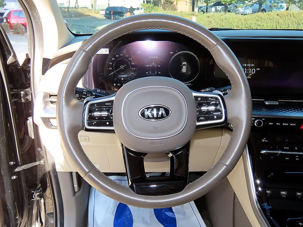 KIA Carnival - Vista 10