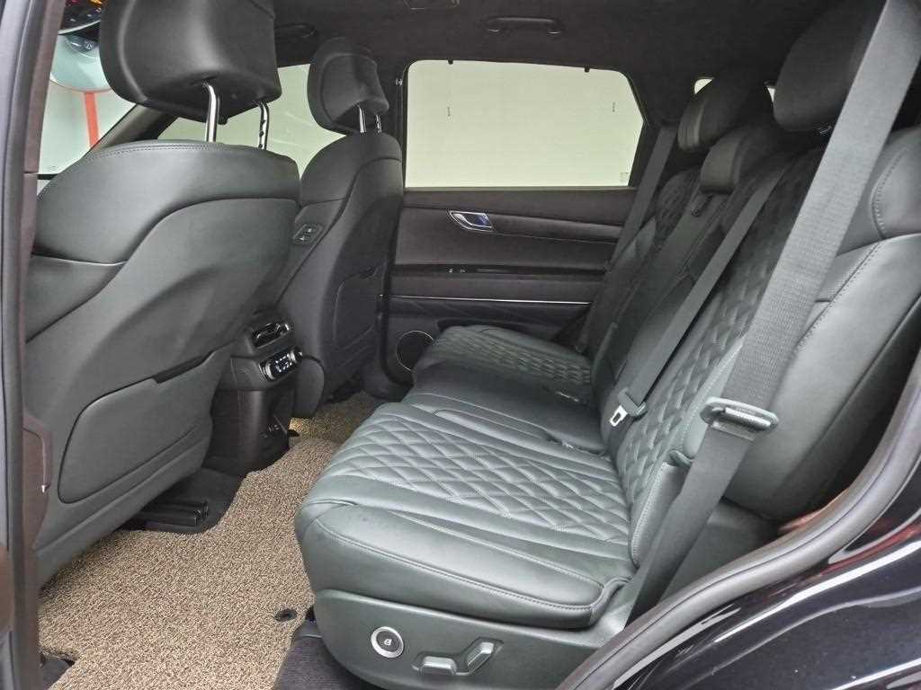 Genesis GV80 - Vista 12