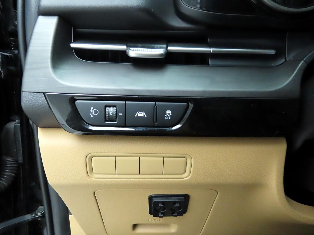 KIA Carnival - Vista 12