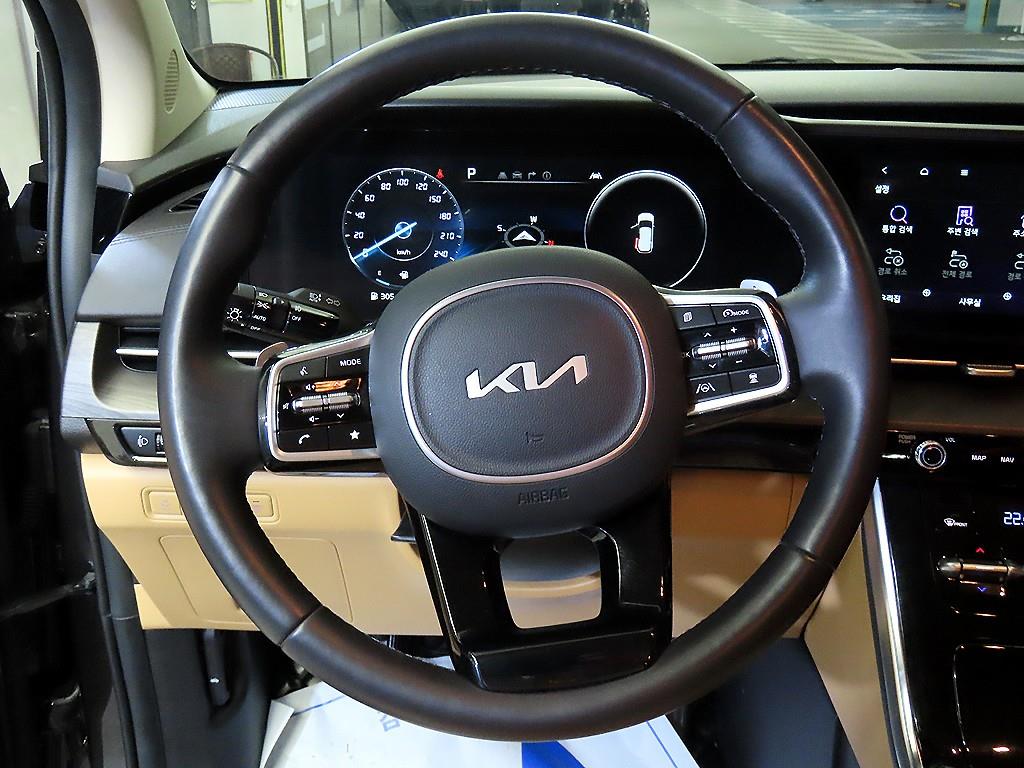 KIA Carnival - Vista 8