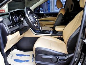 KIA Carnival - Vista 10