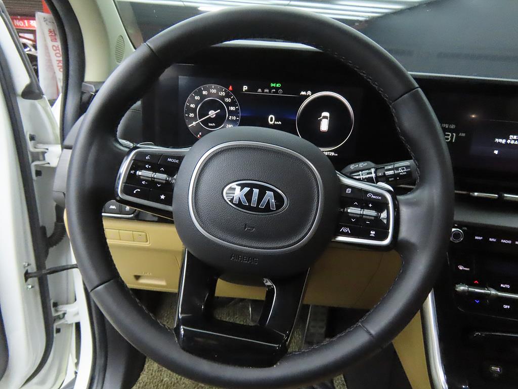 KIA Carnival - Vista 8