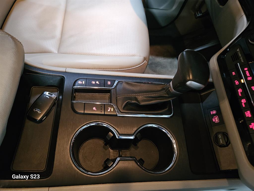 KIA Carnival - Vista 12