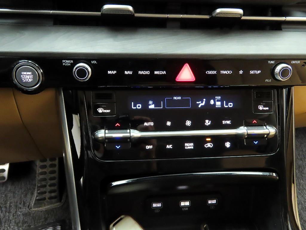 KIA Carnival - Vista 10