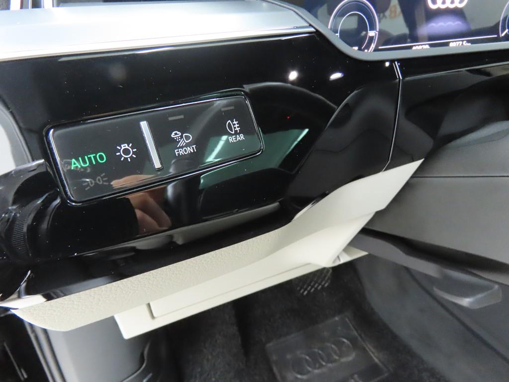Audi e-Tron - Vista 10