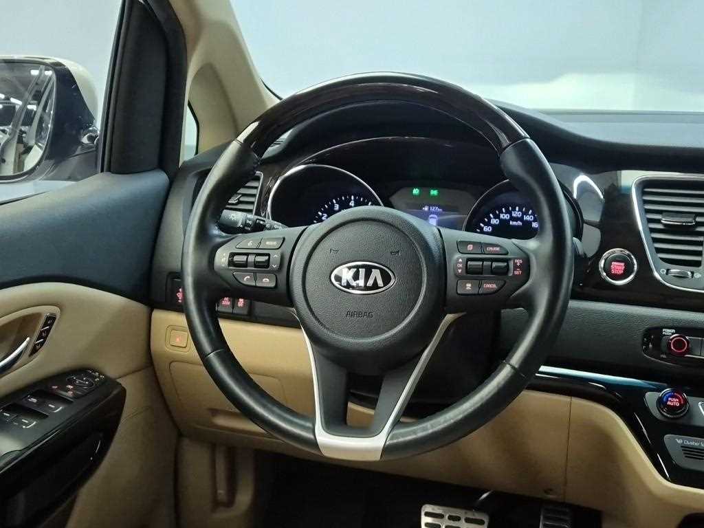 KIA Carnival - Vista 9