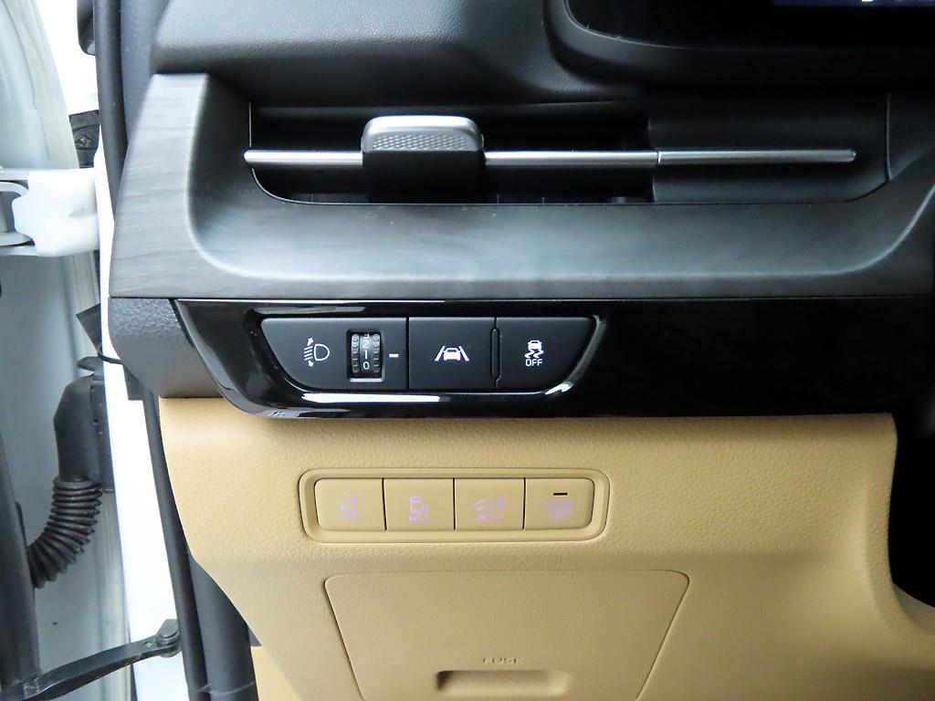 KIA Carnival - Vista 12