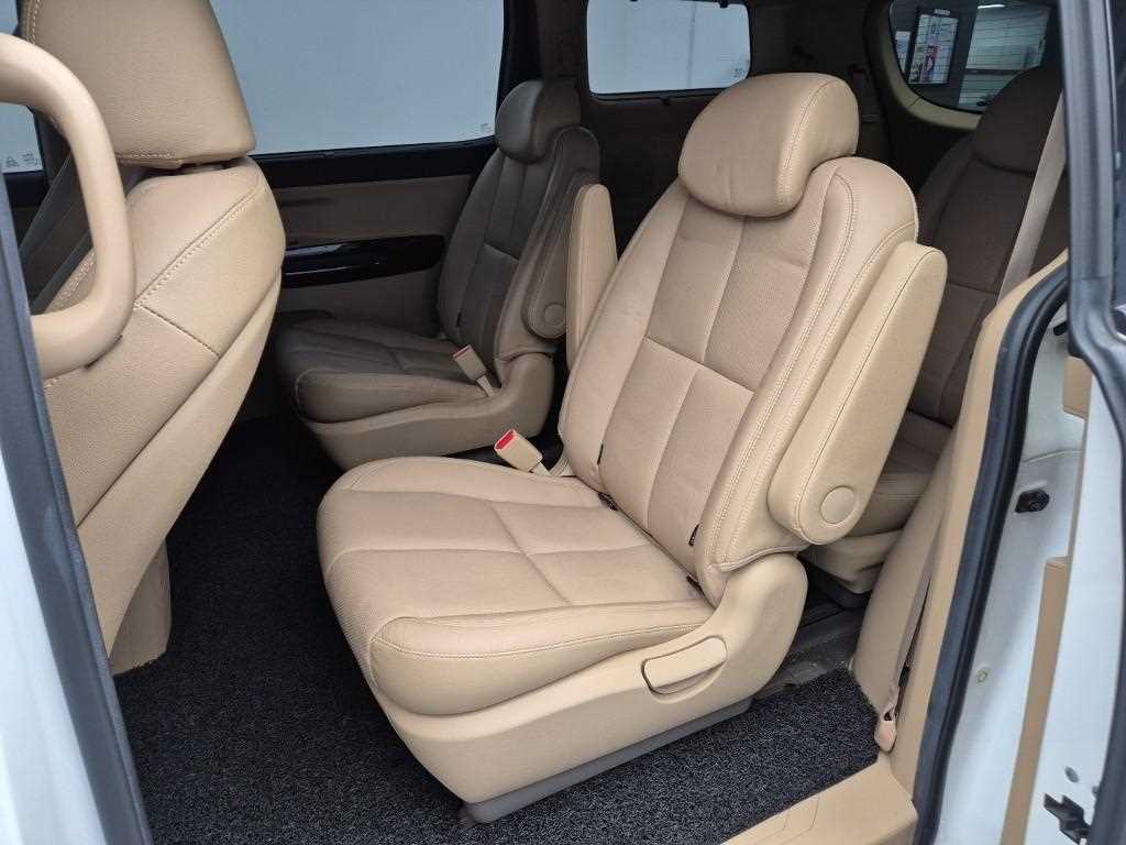 KIA Carnival - Vista 12