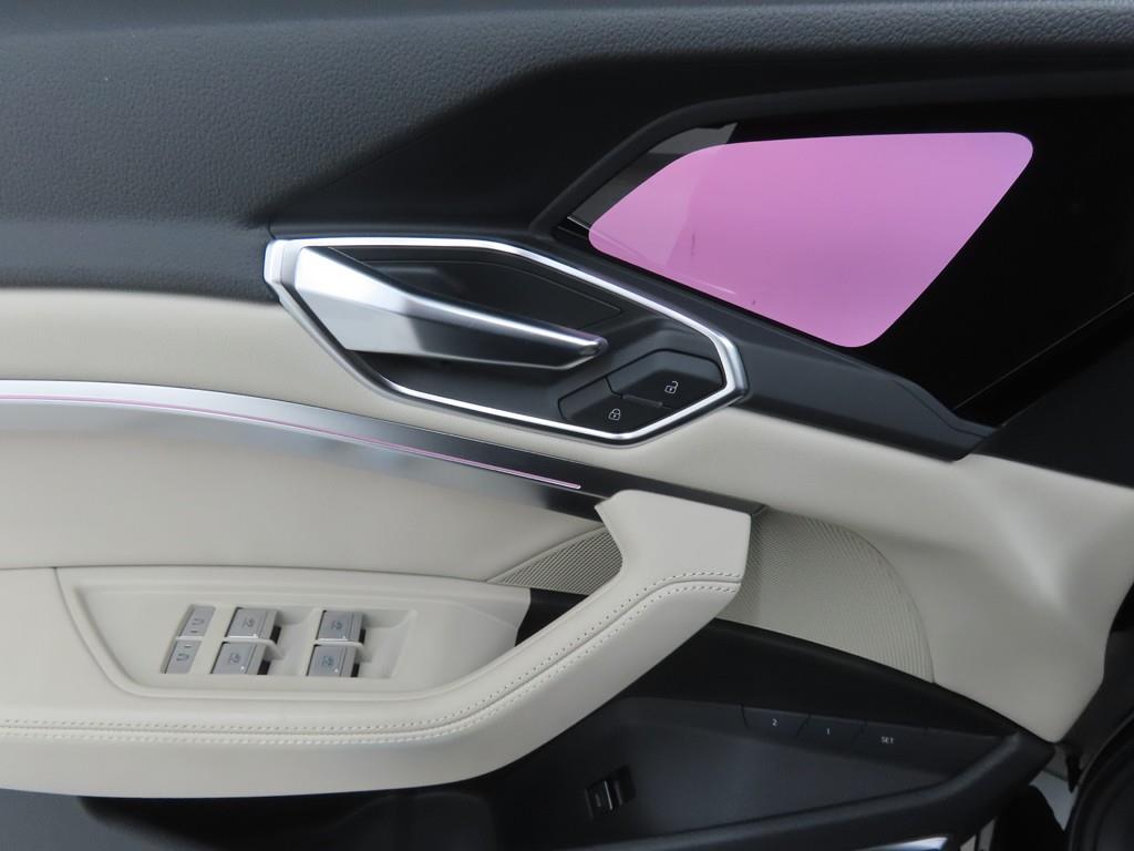 Audi e-Tron - Vista 9