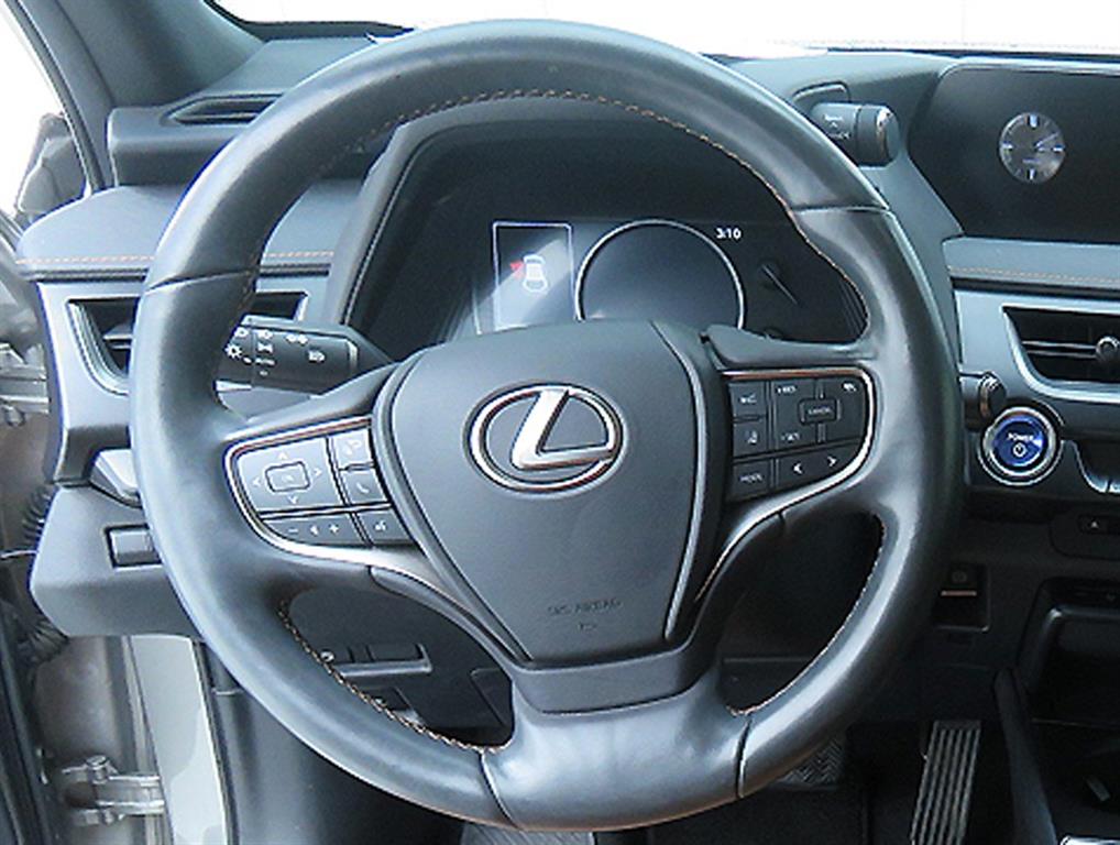 Lexus UX - Vista 10