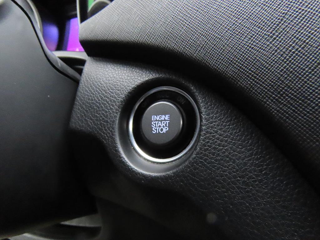 HYUNDAI Maxcruz - Vista 10