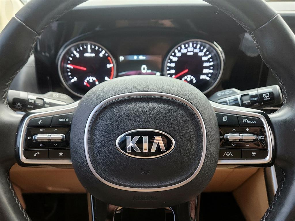 KIA Carnival - Vista 6