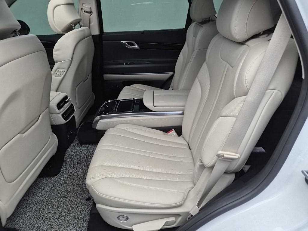 Genesis GV80 - Vista 12