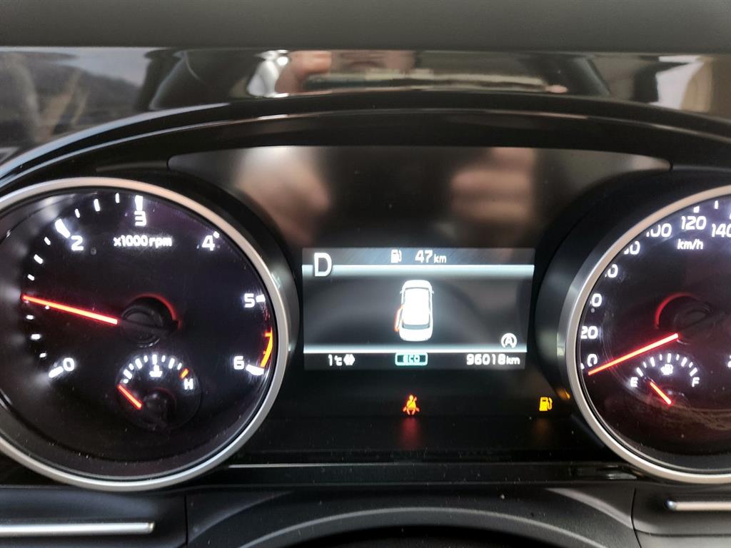 KIA Carnival - Vista 8