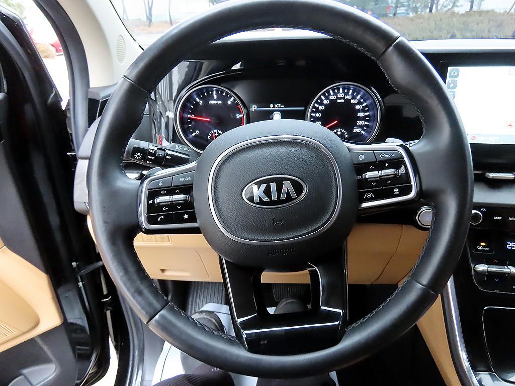 KIA Carnival - Vista 9