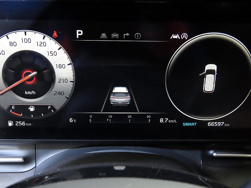 KIA Carnival - Vista 9