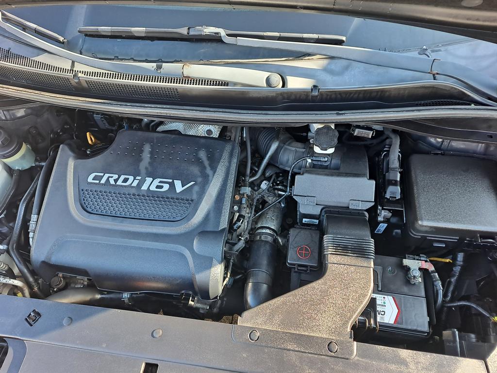 KIA Carnival - Vista 8