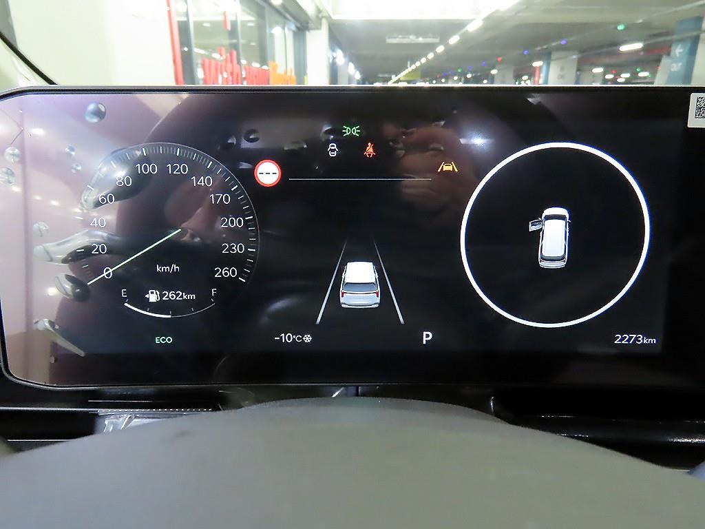 KIA Carnival - Vista 9