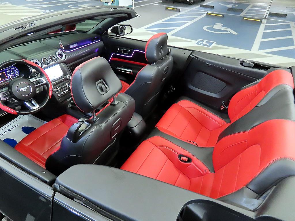 Ford Mustang - Vista 12