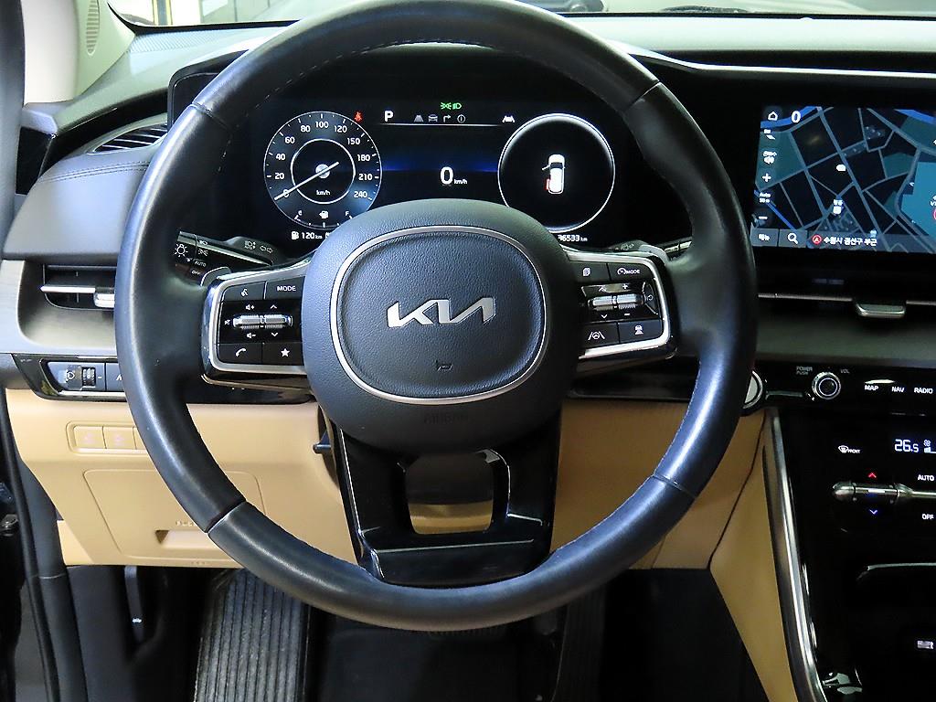 KIA Carnival - Vista 9