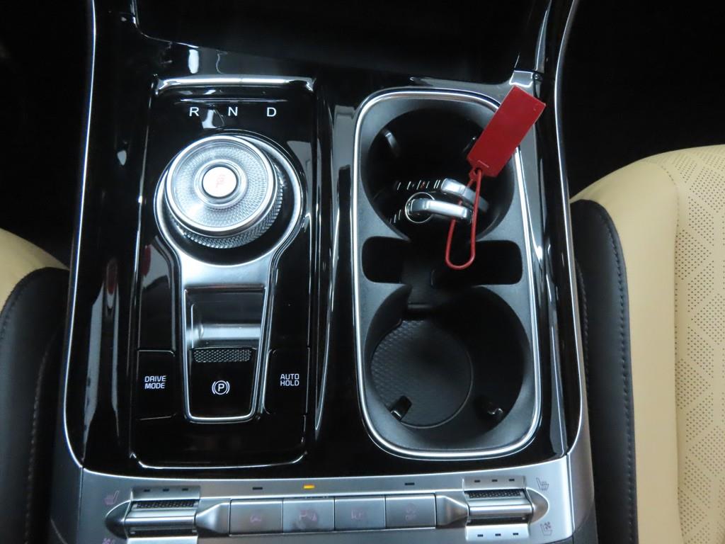 KIA Carnival - Vista 12