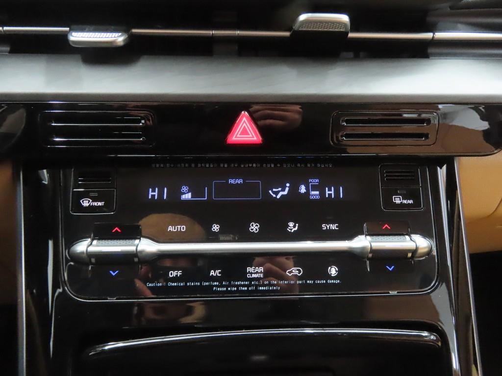 KIA Carnival - Vista 11