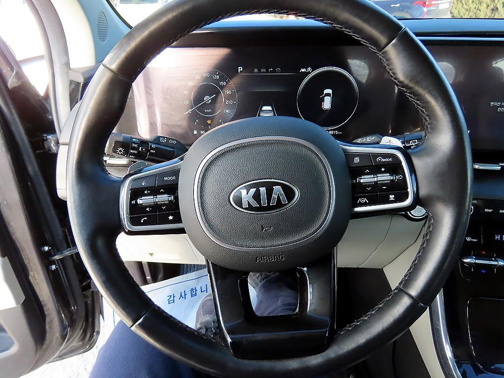 KIA Carnival - Vista 9