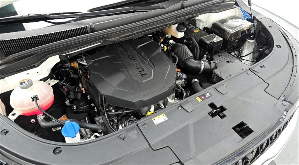 KIA Carnival - Vista 11