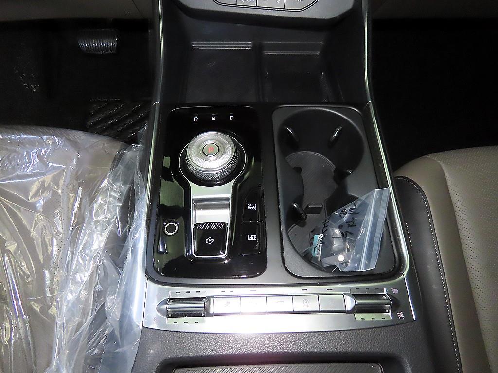 KIA Carnival - Vista 12