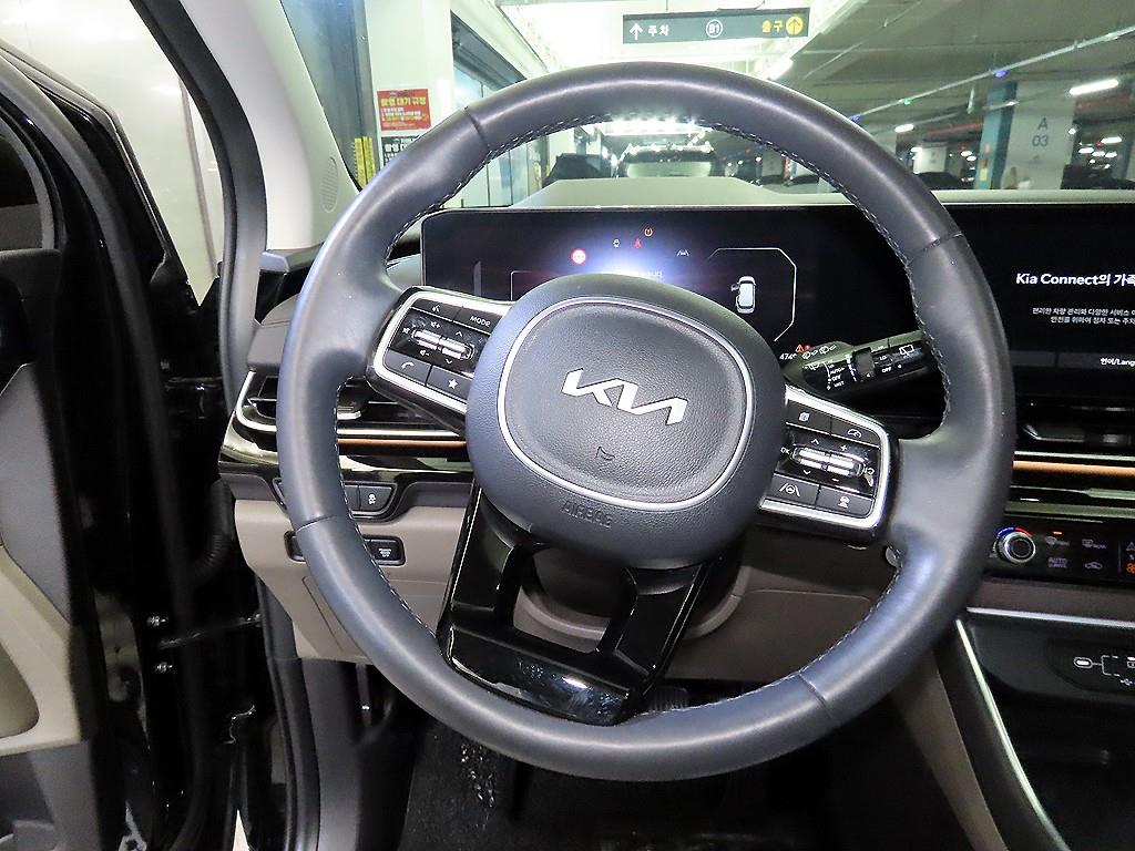 KIA Carnival - Vista 8