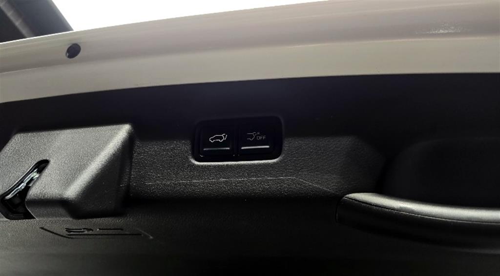 KIA Carnival - Vista 4