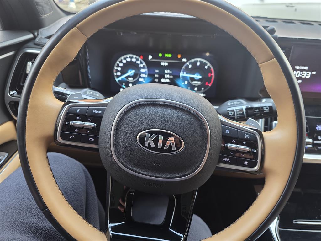 KIA Sorento - Vista 9