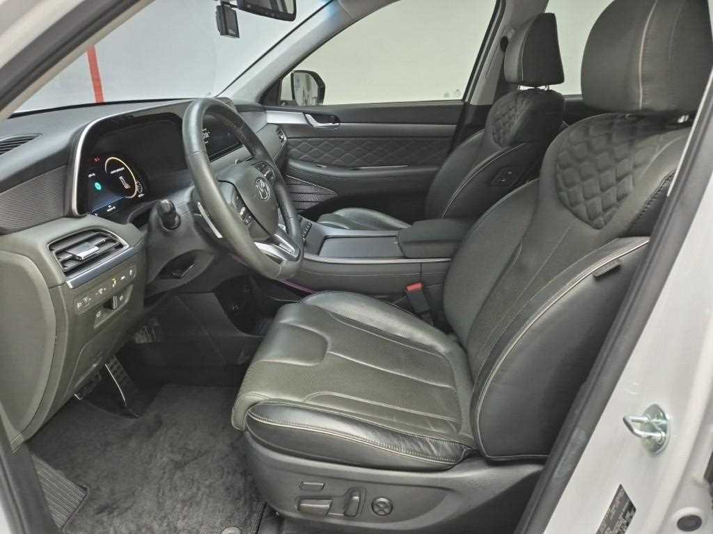 HYUNDAI Palisade - Vista 11