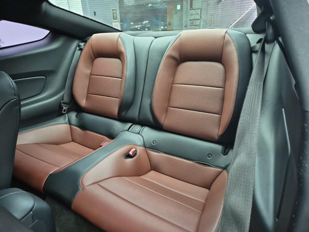 Ford Mustang - Vista 12