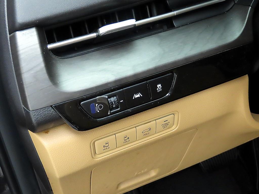 KIA Carnival - Vista 12