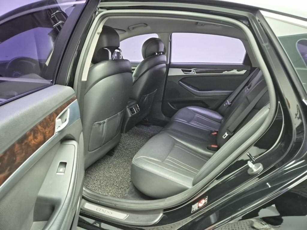 HYUNDAI Genesis - Vista 12