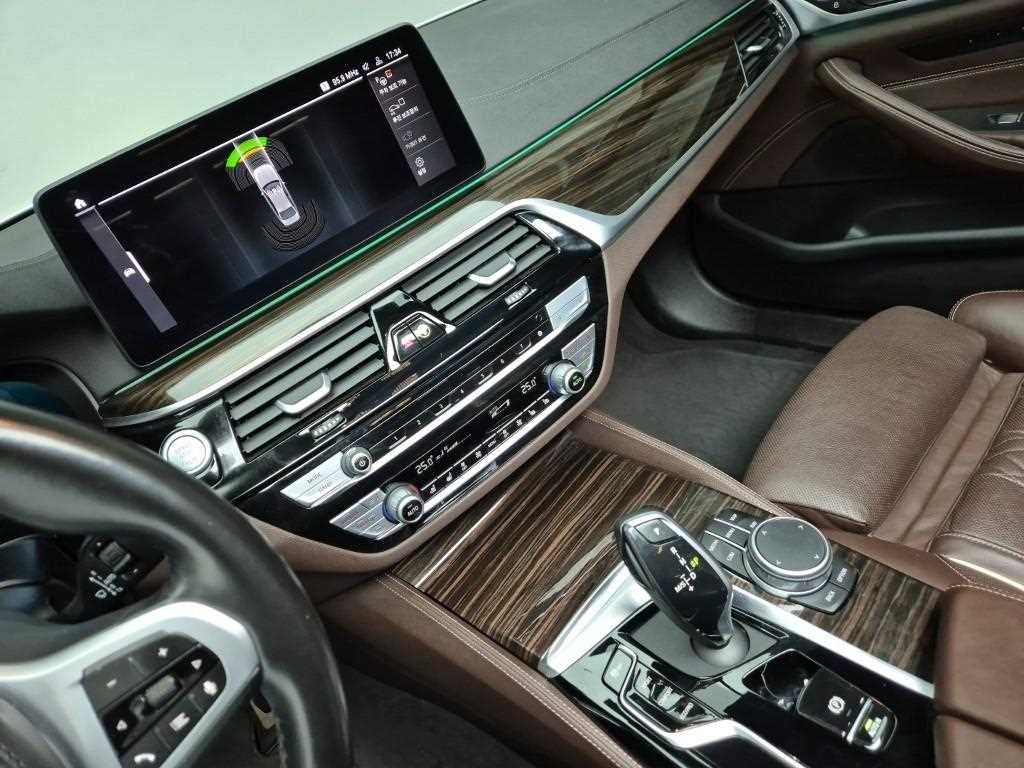 BMW 5 Series - Vista 10