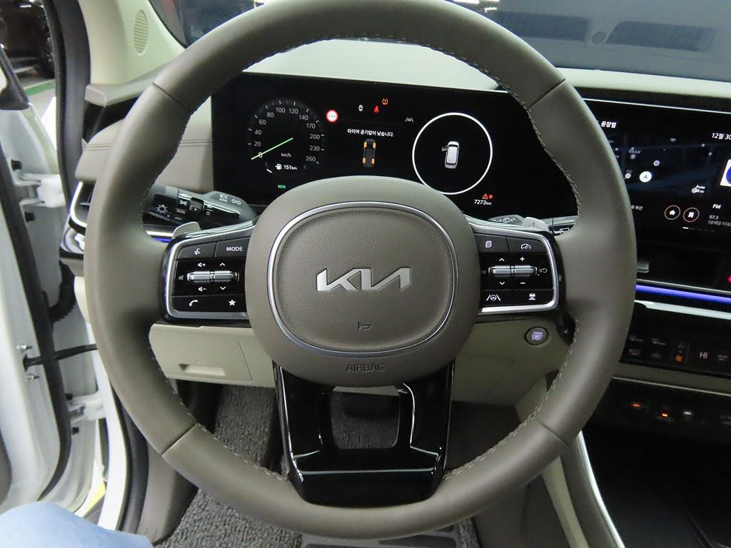 KIA Carnival - Vista 8