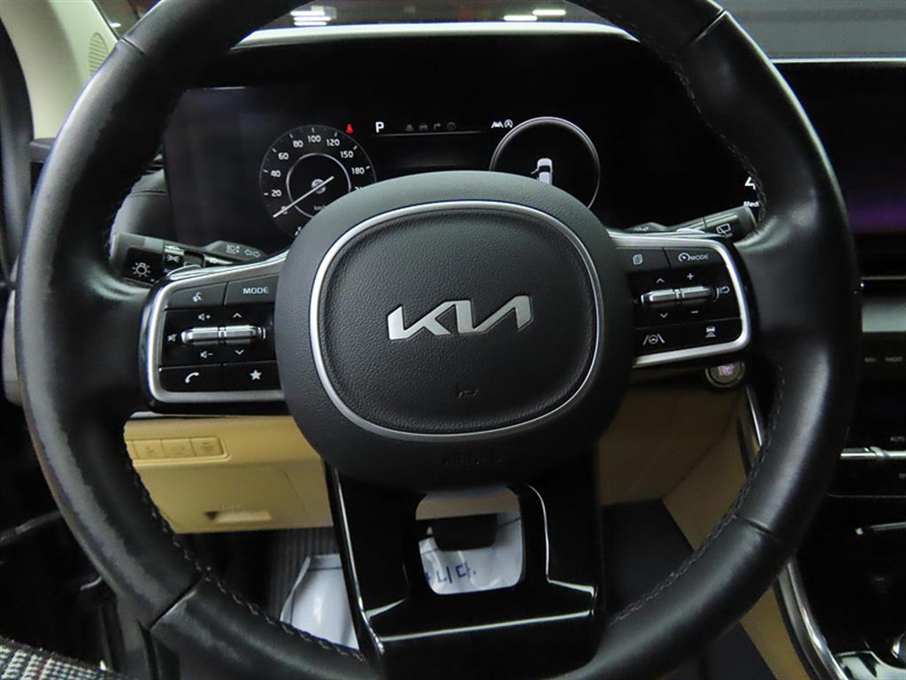 KIA Carnival - Vista 8